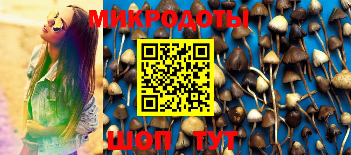 Галлюциногенные грибы прущие грибы  Псилоцибиновые грибы Psilocybe  Вход с VPN  Владивосток 